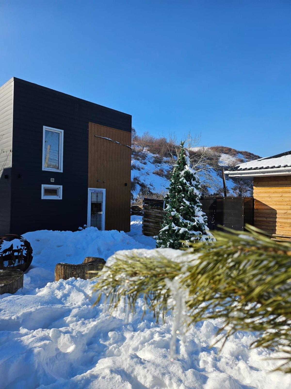 Nasha Dacha Villa Almatı Dış mekan fotoğraf